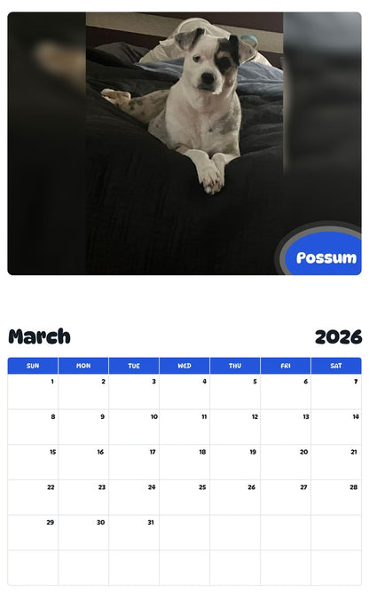 November 2025 - October 2026 Possum - Pawidols Pet Calendar