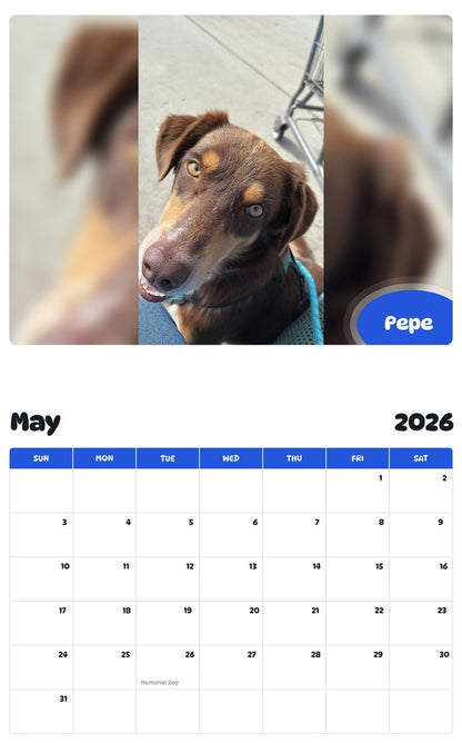 2026 - 2027 Pepe - Pawidols Pet Calendar