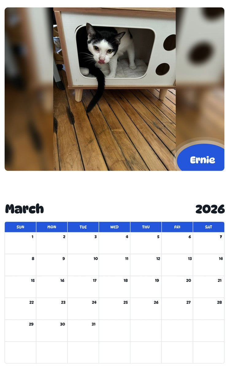 November 2025 - October 2026 Ernie - Pawidols Pet Calendar