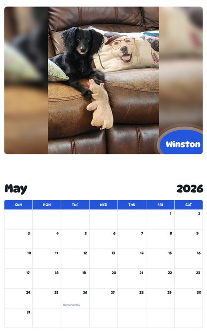 2026 - 2027 Winston - Pawidols Pet Calendar