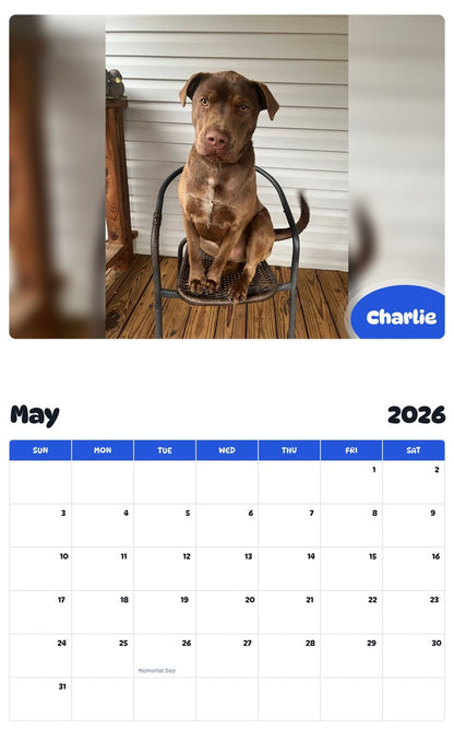 2026 - 2027 Charlie - Pawidols Pet Calendar