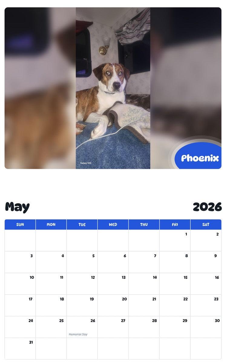 2026 - 2027 Phoenix - Pawidols Pet Calendar