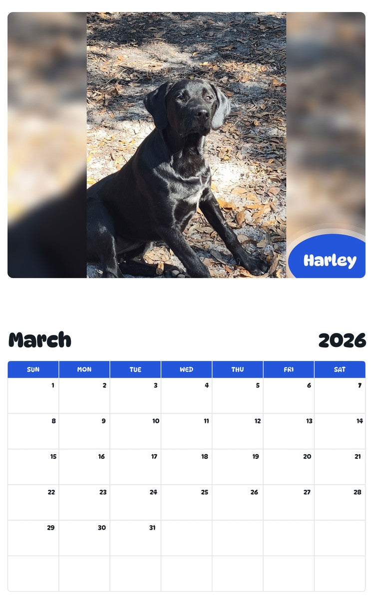 November 2025 - October 2026 Harley - Pawidols Pet Calendar