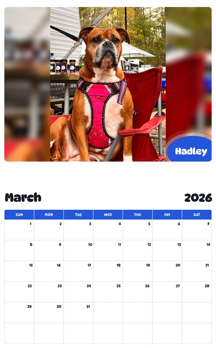 November 2025 - October 2026 Hadley - Pawidols Pet Calendar