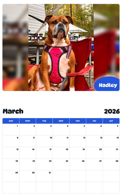 November 2025 - October 2026 Hadley - Pawidols Pet Calendar