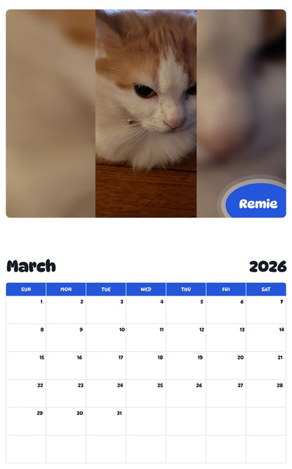 November 2025 - October 2026 Remie - Pawidols Pet Calendar