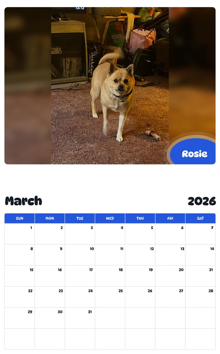 November 2025 - October 2026 Rosie - Pawidols Pet Calendar