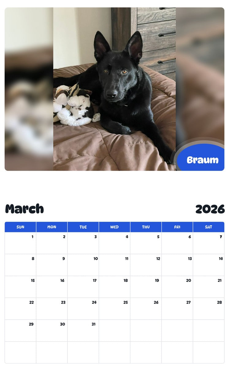 November 2025 - October 2026 Braum - Pawidols Pet Calendar