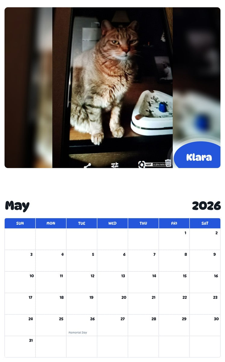 2026 - 2027 Klara - Pawidols Pet Calendar