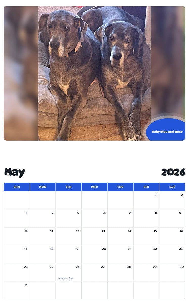 2026 - 2027 Baby Blue and Rosy - Pawidols Pet Calendar