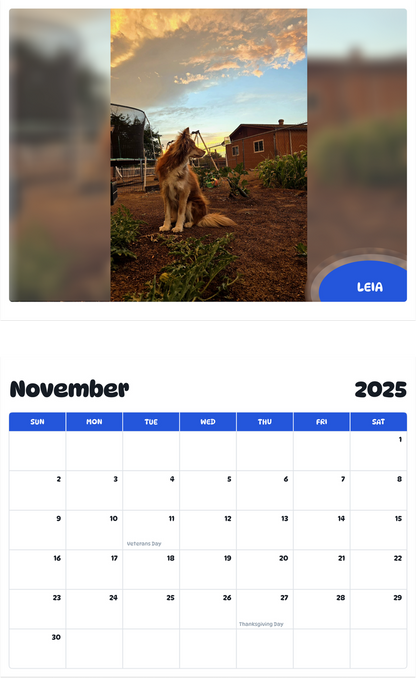 July 2025 - June 2026 Leia - Pawidols Pet Calendar