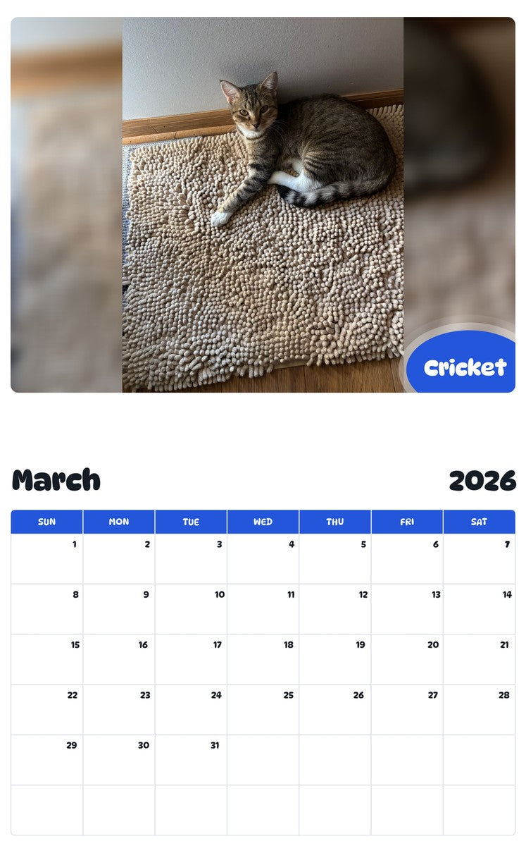 November 2025 - October 2026 Cricket - Pawidols Pet Calendar