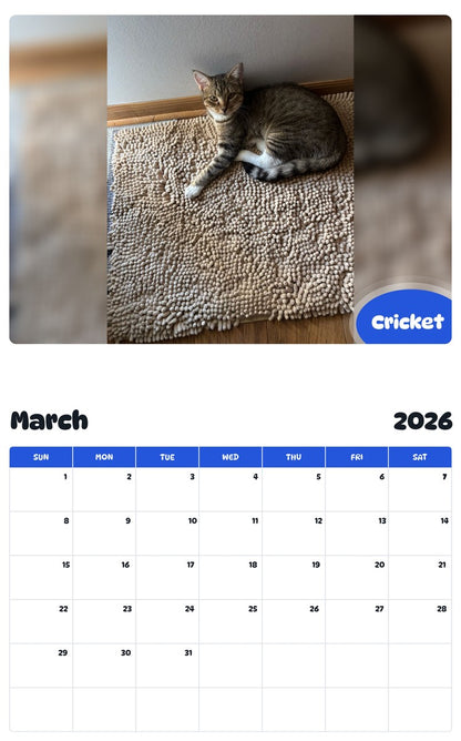 November 2025 - October 2026 Cricket - Pawidols Pet Calendar