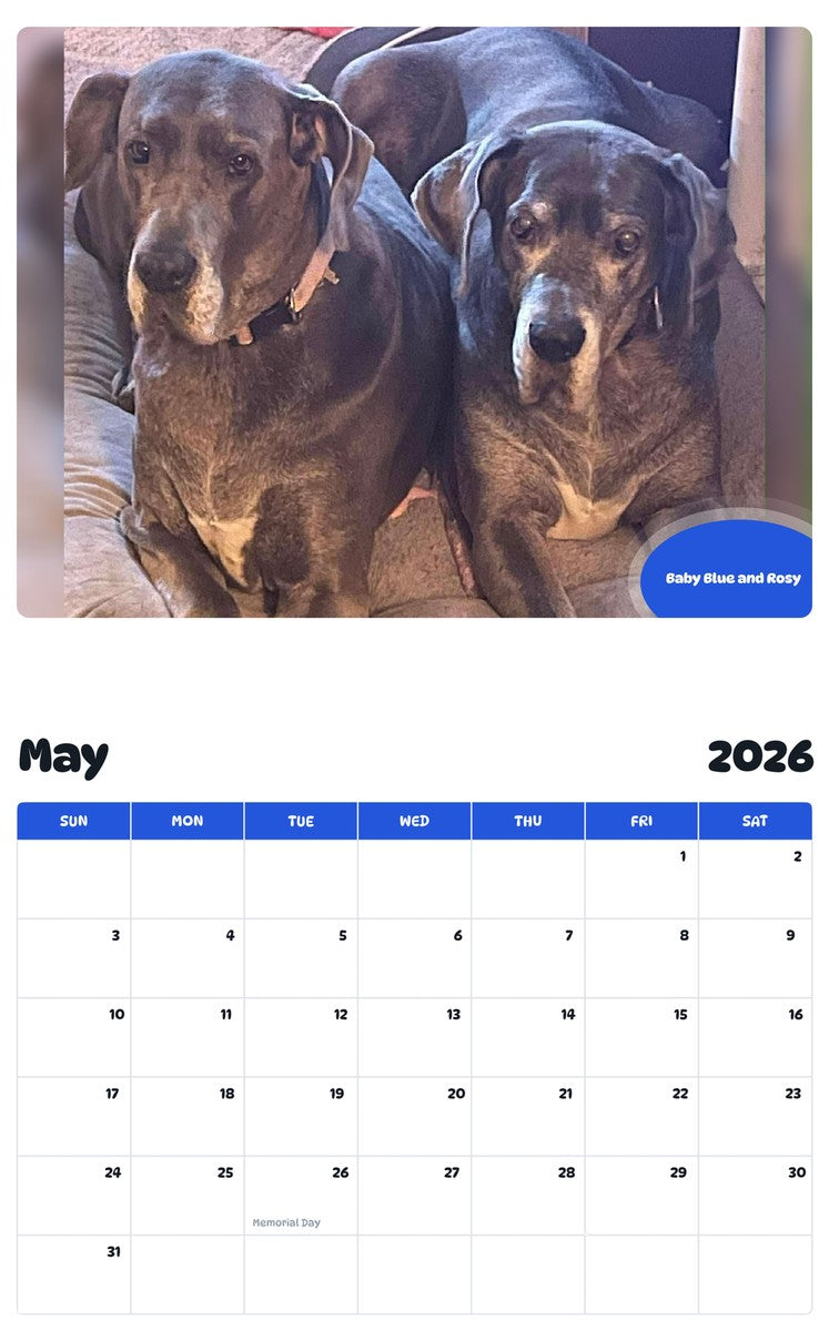 2026 - 2027 Baby Blue and Rosy - Pawidols Pet Calendar