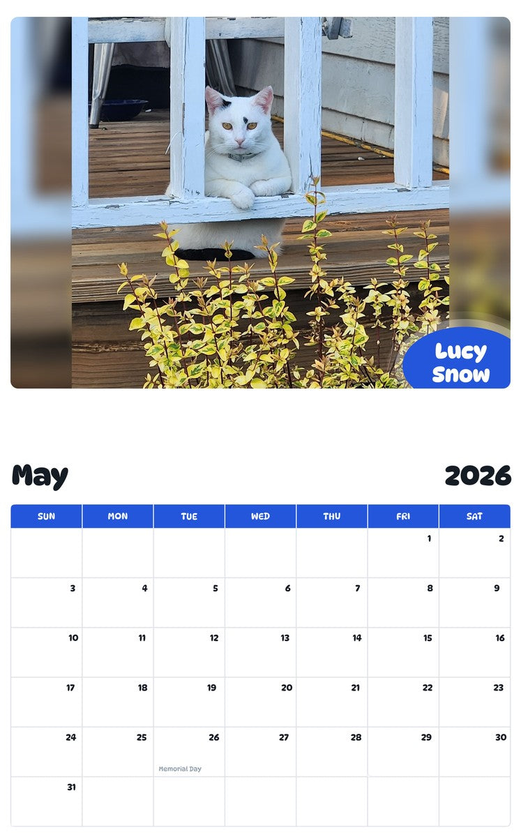 2026 - 2027 Lucy Snow - Pawidols Pet Calendar