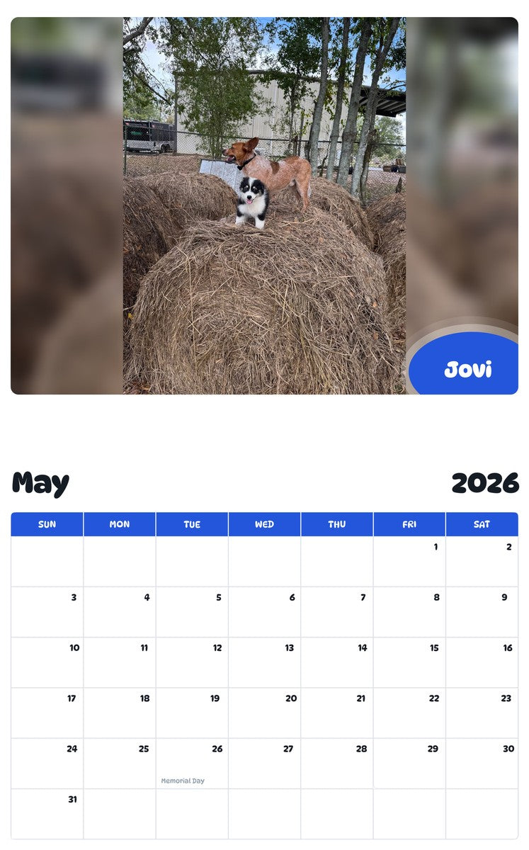 2026 - 2027 Jovi - Pawidols Pet Calendar