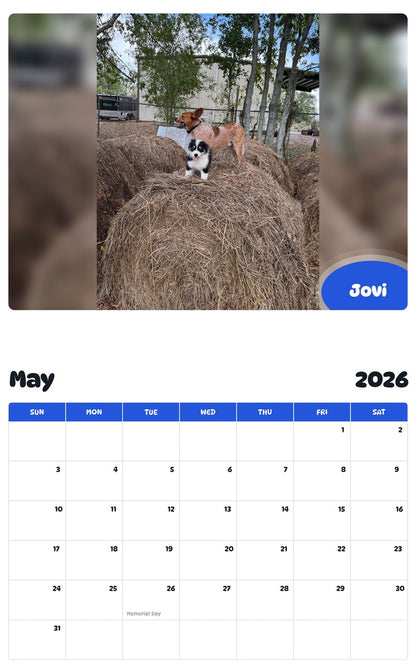 2026 - 2027 Jovi - Pawidols Pet Calendar