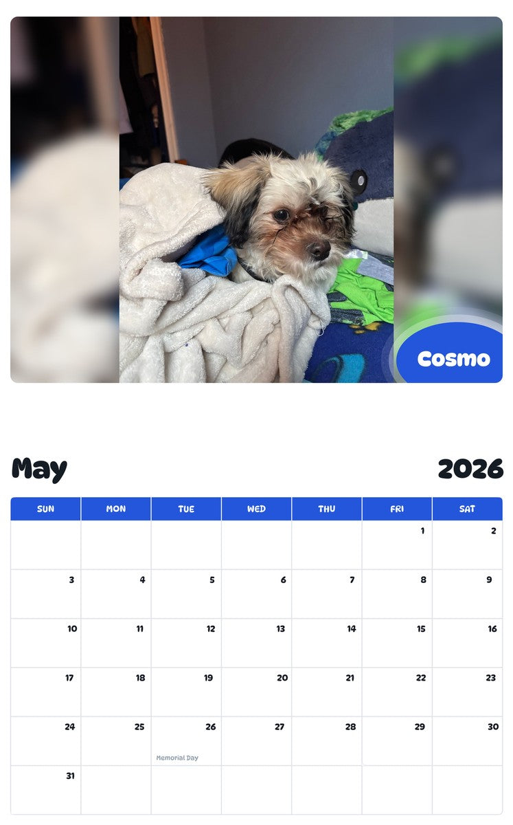 2026 - 2027 Cosmo - Pawidols Pet Calendar