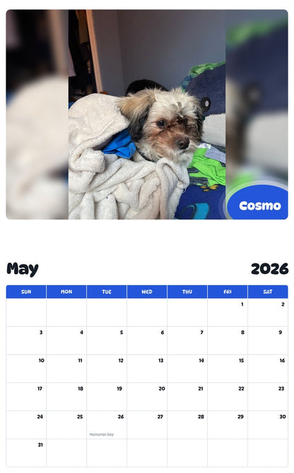 2026 - 2027 Cosmo - Pawidols Pet Calendar