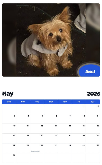 2026 - 2027 Axel - Pawidols Pet Calendar