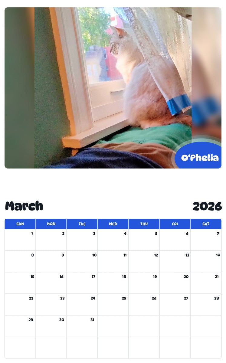 November 2025 - October 2026 O'Phelia - Pawidols Pet Calendar
