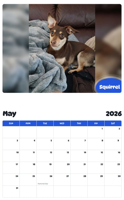 2026 - 2027 Squirrel - Pawidols Pet Calendar