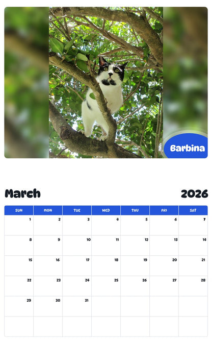 November 2025 - October 2026 Barbina - Pawidols Pet Calendar