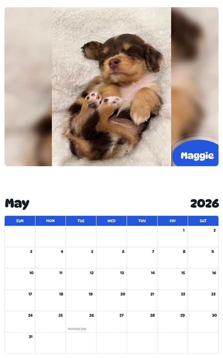 2026 - 2027 Maggie - Pawidols Pet Calendar