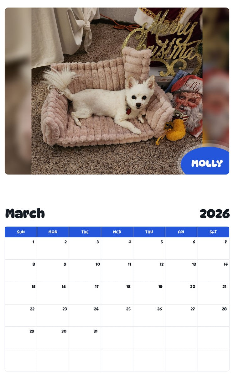 November 2025 - October 2026 MOLLY - Pawidols Pet Calendar