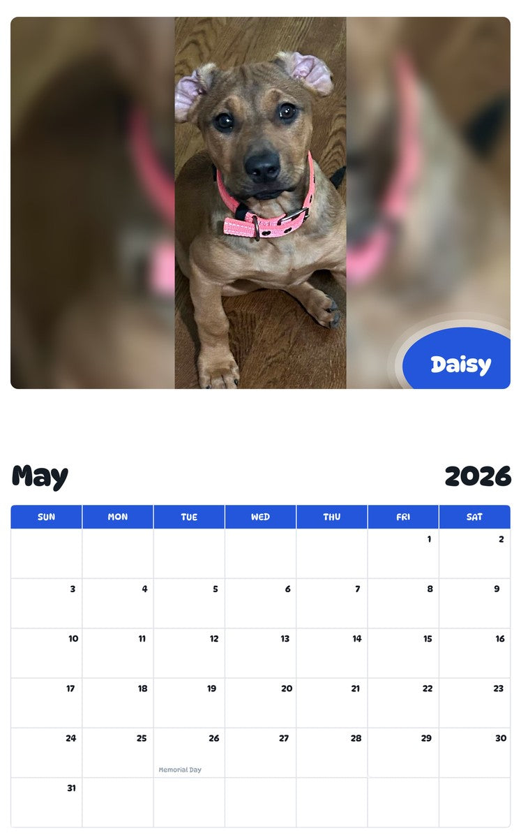 2026 - 2027 Daisy - Pawidols Pet Calendar