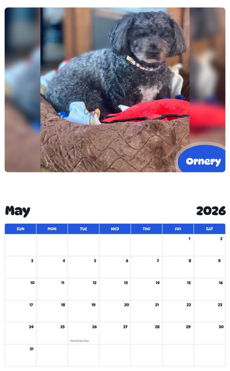 2026 - 2027 Ornery - Pawidols Pet Calendar