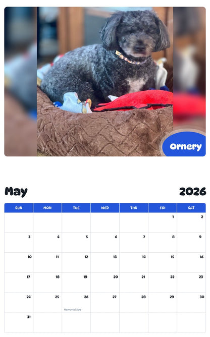 2026 - 2027 Ornery - Pawidols Pet Calendar