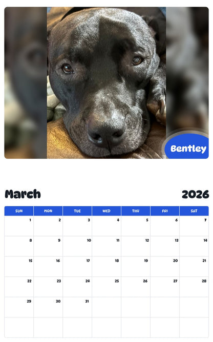 November 2025 - October 2026 Bentley - Pawidols Pet Calendar
