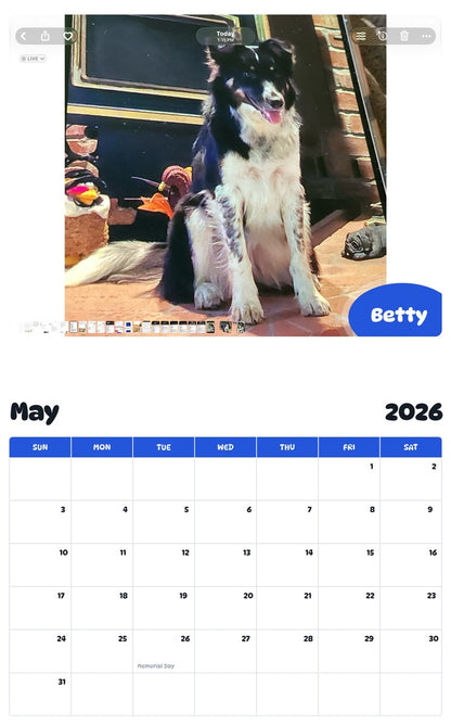 2026 - 2027 Betty - Pawidols Pet Calendar