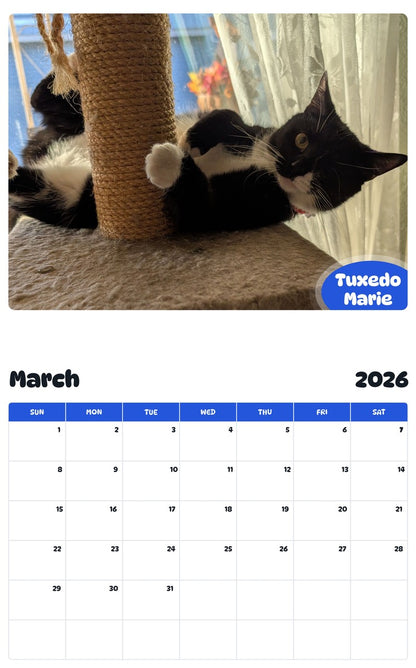 November 2025 - October 2026 Tuxedo Marie - Pawidols Pet Calendar
