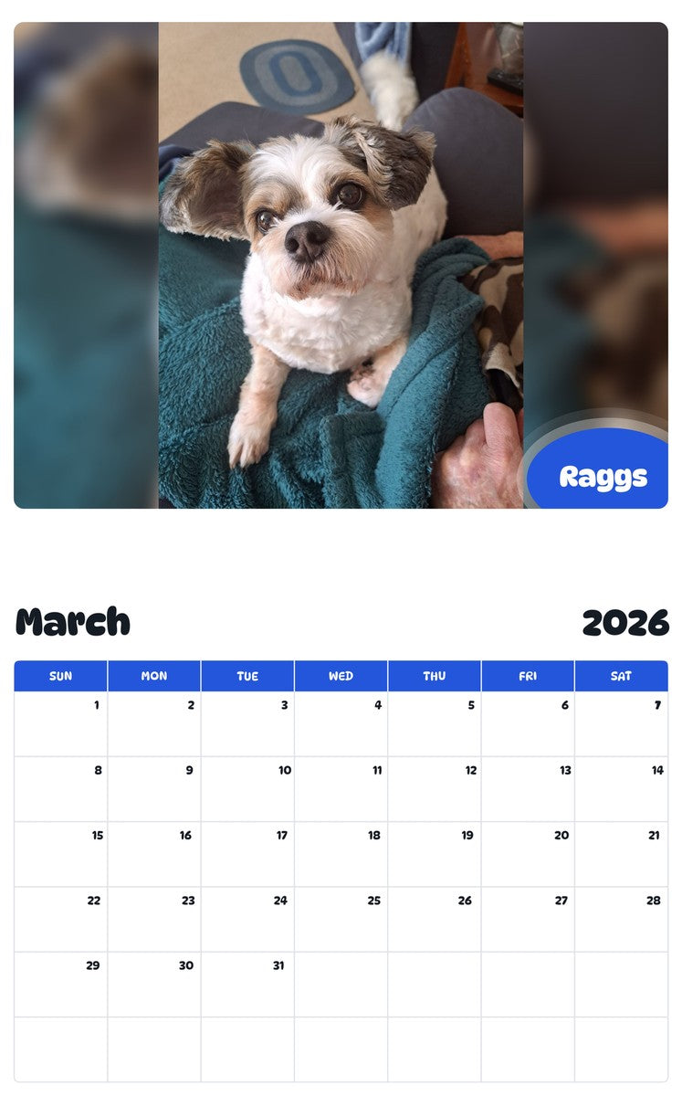 November 2025 - October 2026 Raggs - Pawidols Pet Calendar