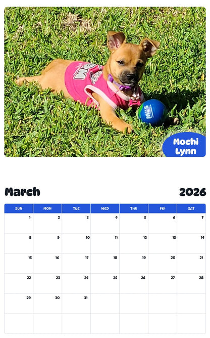 November 2025 - October 2026 Mochi Lynn - Pawidols Pet Calendar