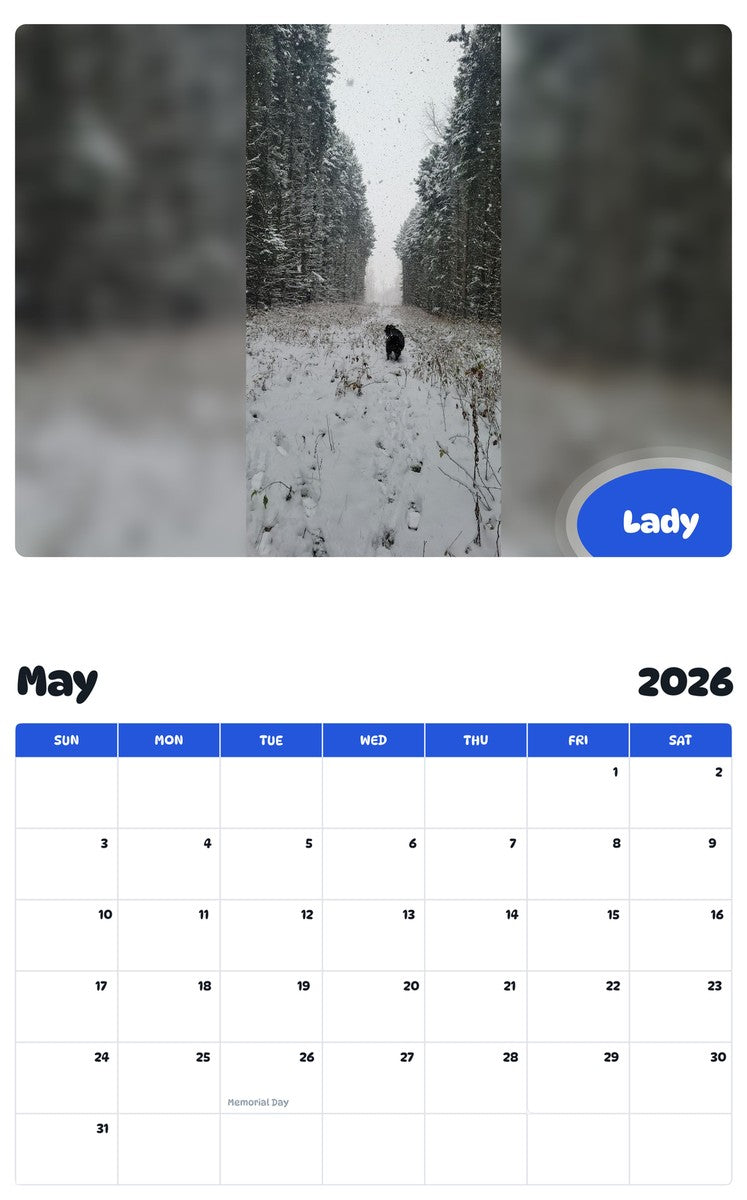 2026 - 2027 Lady - Pawidols Pet Calendar