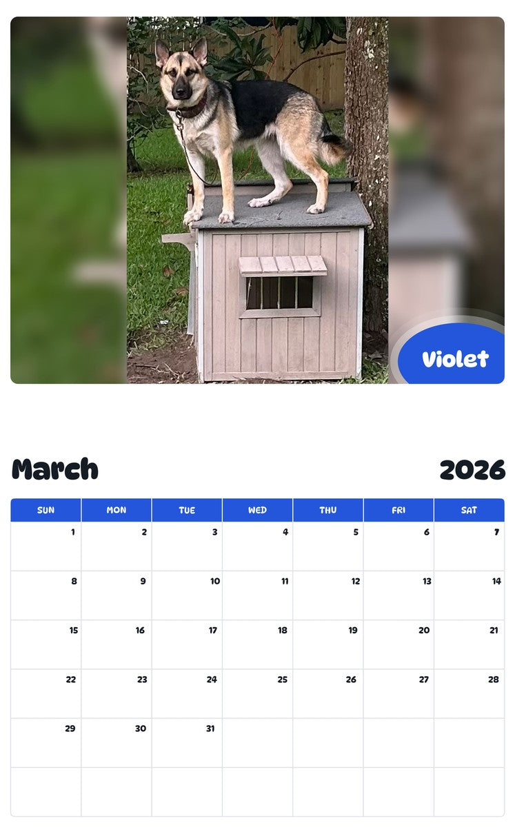 November 2025 - October 2026 Violet - Pawidols Pet Calendar