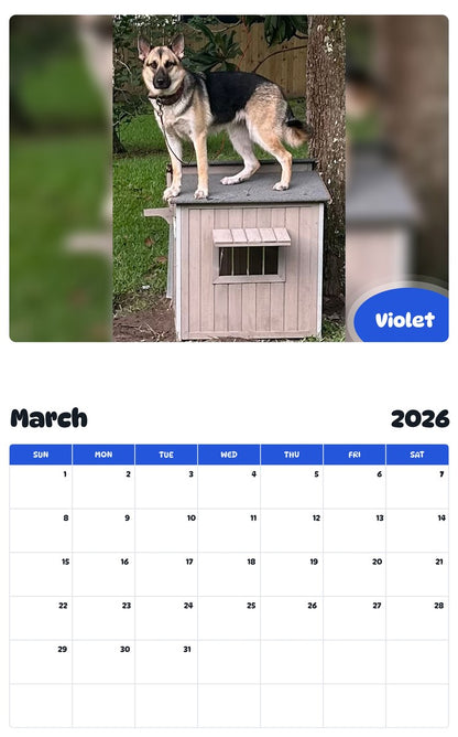 November 2025 - October 2026 Violet - Pawidols Pet Calendar