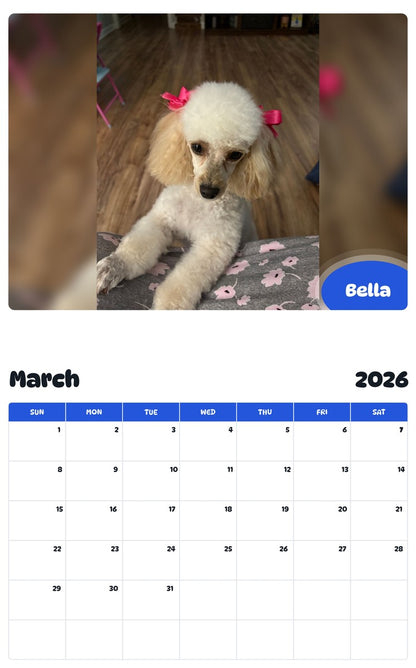 November 2025 - October 2026 Bella - Pawidols Pet Calendar