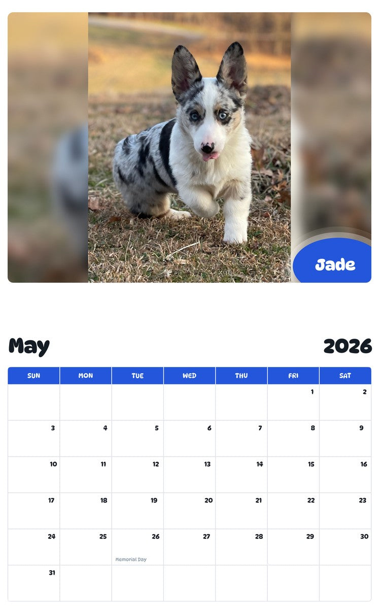 2026 - 2027 Jade - Pawidols Pet Calendar