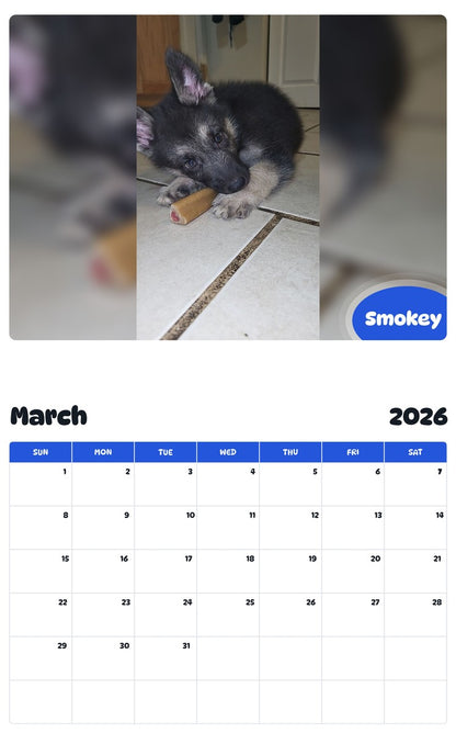 November 2025 - October 2026 Smokey - Pawidols Pet Calendar