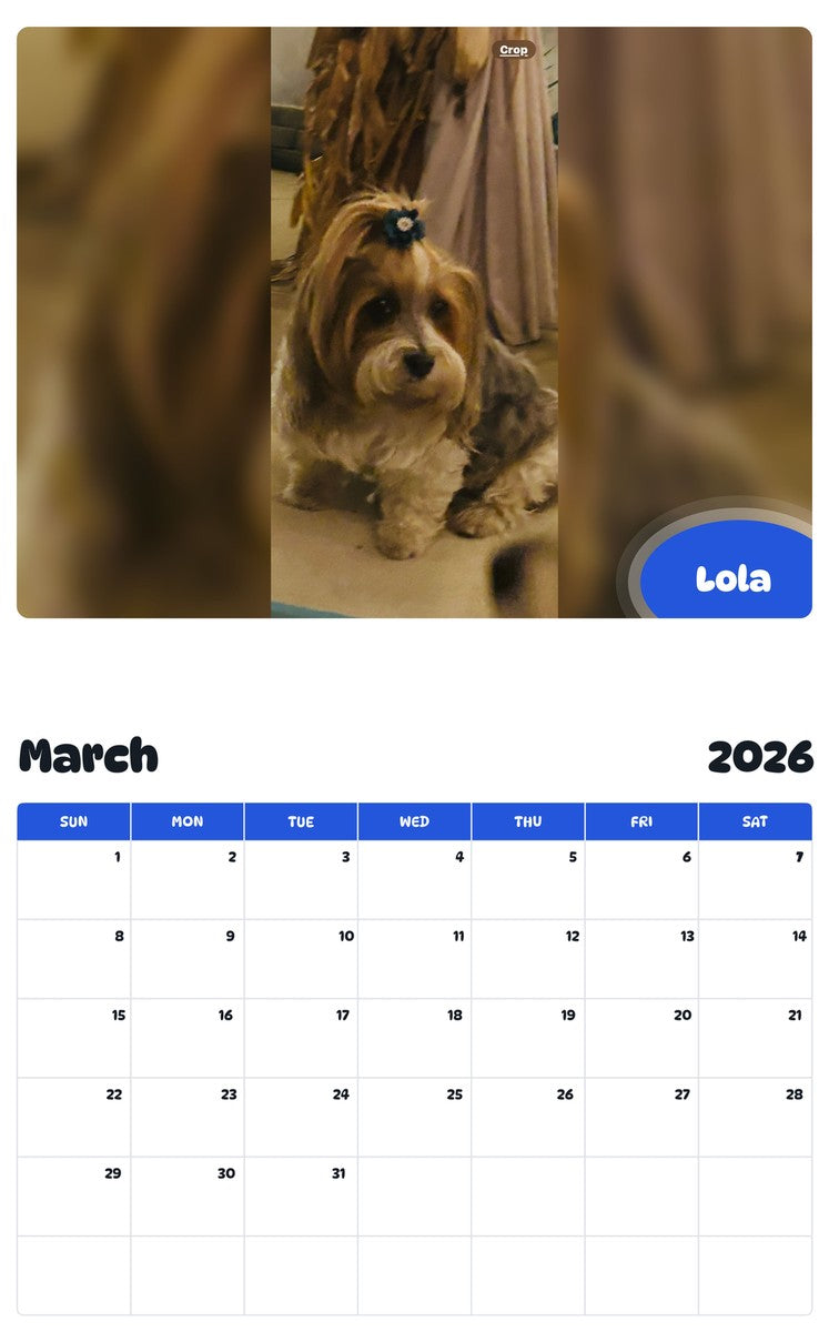 November 2025 - October 2026 Lola - Pawidols Pet Calendar
