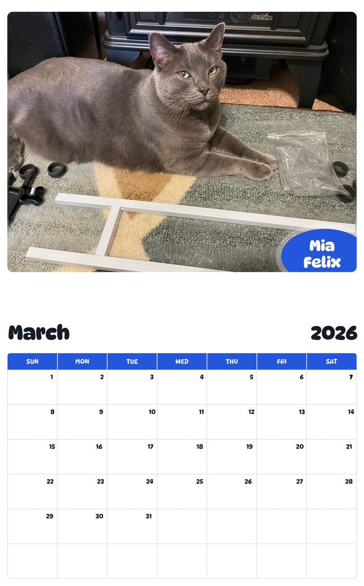 November 2025 - October 2026 Mia Felix - Pawidols Pet Calendar
