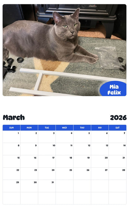 November 2025 - October 2026 Mia Felix - Pawidols Pet Calendar