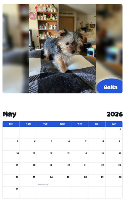 2026 - 2027 Bella - Pawidols Pet Calendar