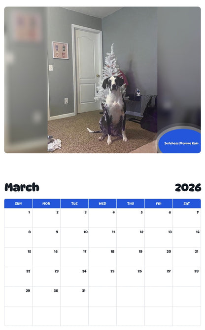 November 2025 - October 2026 Dutchess Stormie Rain - Pawidols Pet Calendar