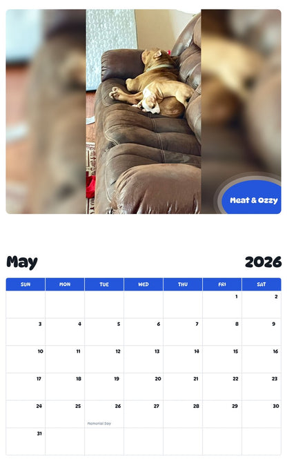 2026 - 2027 Meat & Ozzy - Pawidols Pet Calendar