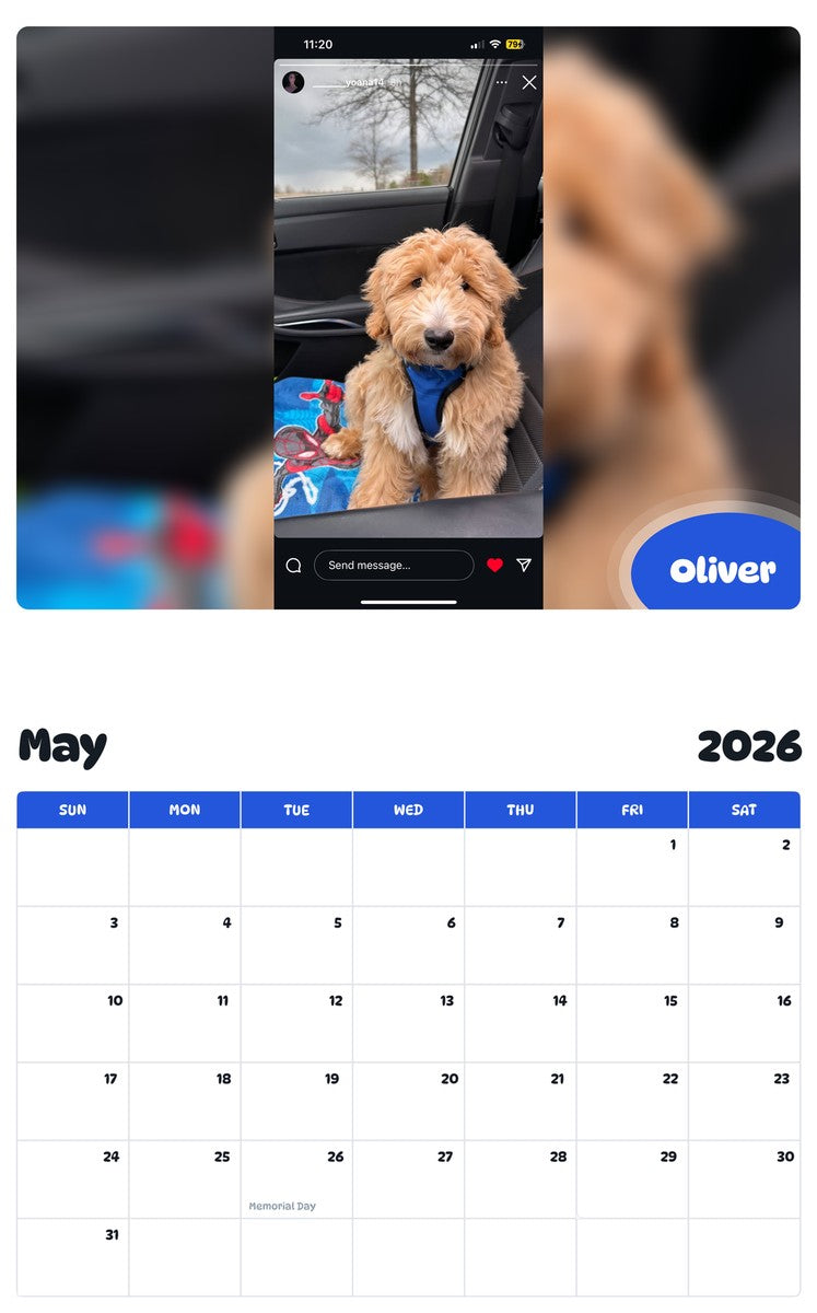 2026 - 2027 Oliver - Pawidols Pet Calendar